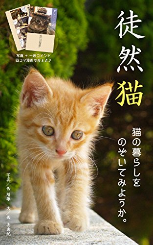 徒然猫: 猫の暮らしをのぞいてみようか