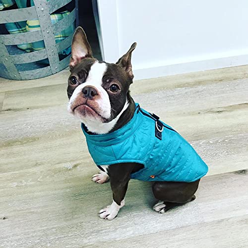 gooby puffer vest - turquoise small - ultra thin zip up wind breaker leash - water resistant dog sweater coat - boy or medium dogs