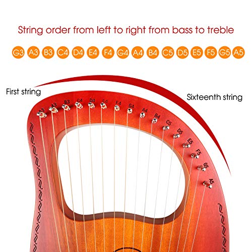 Reviews y listado de Arpa precio tabla con los diez mejores. 3 Imagen adicional