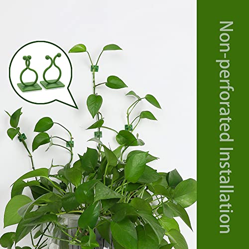 Plant Clips, 120Pcs Hooks Vine Clips For Vines Traction, 3 Sizes Of Invisible Self-Adhesive Leaf Plant Clips For Climbing Plants, 40 Each Of Small, Medium And Large Size Wall Clips For Wire Fixing #TOP2