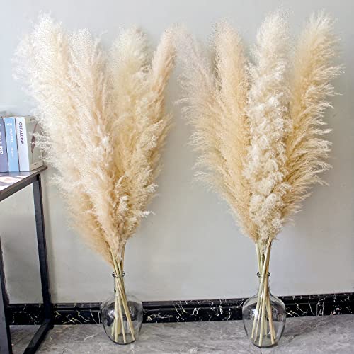 Image of 46 inch inch 10 Stems Natural Pampas Grass Decor Tall, Pompas Grass, Tall Pampas Grass for Weddingm, Farmhouse, Boho Home Decor (Ivory)