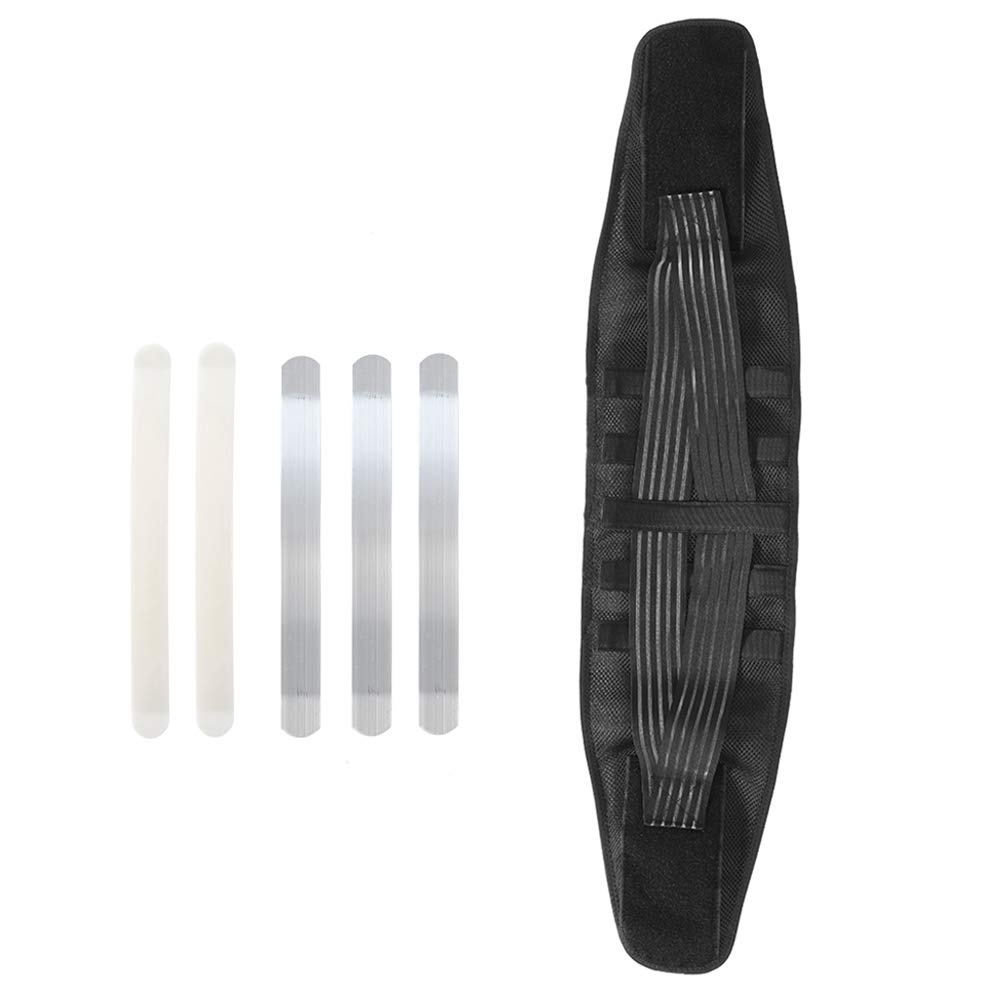 Waist Trainer Back Support, Durable Thin Waist Support Belt, for Men for Women(L)