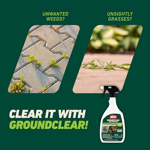 Image of Ortho GroundClear Weed & Grass Killer - Kills Dandelions, Chickweed, Crabgrass, Moss & More, OMRI Listed, Ready-to-Use Grass and Weed Killer Spray, 24 fl. oz. (2-Pack)