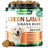 Carmelie Grass Burn Spot Chews – 200 Chews Dog Pee Grass Spot by Dog Urine – Urine Neutraliser for Lawn – Supports Urinary & Digestive Health with DL-Methionine, Probiotics & Enzymes