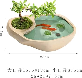 Amazon.co.jp: 鉢植え すいれん鉢 メダカ鉢 睡蓮鉢 スイレン鉢 金魚鉢