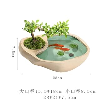 Amazon.co.jp: 鉢植え すいれん鉢 メダカ鉢 睡蓮鉢 スイレン鉢