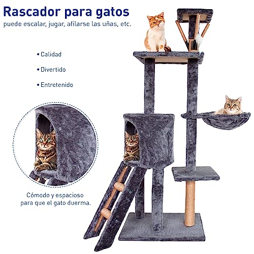 Mejores review On-line Accesorios para gatos Top cinco. 29 Imagen adicional