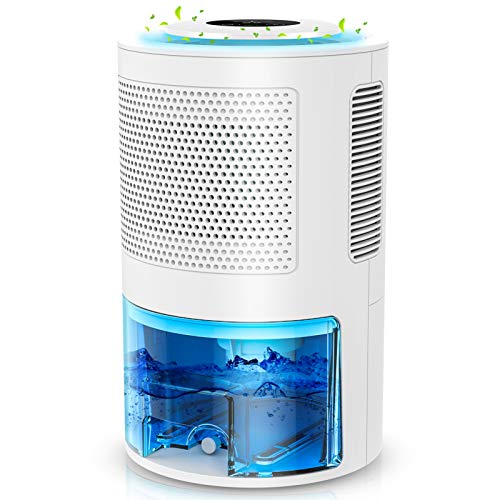 Arctic King Dehumidifier Review Best Cost