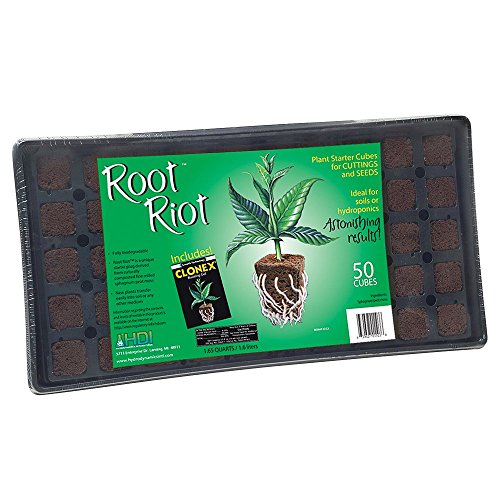Cubos orgánicos para iniciar plantas Root Riot 50 und miniatura 1
