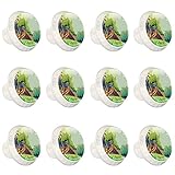 Lot de 12 boutons de placard ronds blancs en forme de caille mâle et femelle