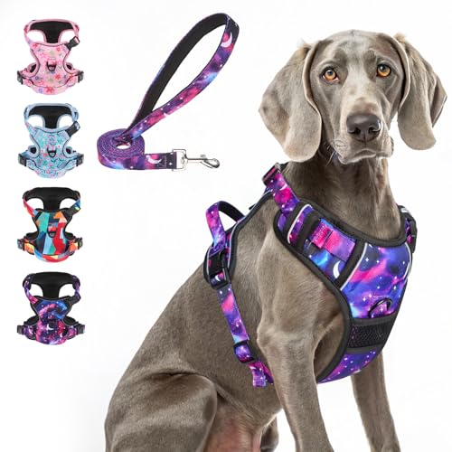 BEAUTYZOO No Pull Dog Harness and Leash Set with 2 Metal Leash Clips - Overhead-Free 3 Snap Buckles Design, Adjustable No-Choke Soft Padded Reflective Oxford Pet Vest for Small Medium Large Dogs, XL