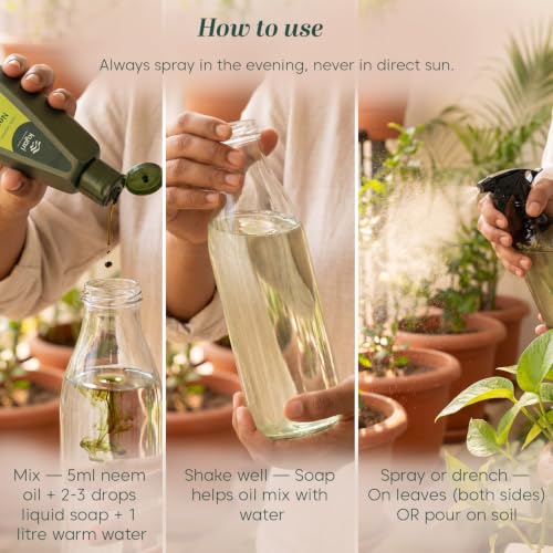 Image of Kyari Neem Oil for Plants 250 ml - Cold-Pressed Organic Neem Oil Spray Concentrate, Natural Pesticide for Plants - Plant Protection Spray for Insects & Mites - 100% Natural
