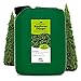 Produktbild Flora Boost Koniferen Thuja Tannen Dünger 5 Liter - Für Einzelpflanzen und Hecken - Kräftigere Wurzeln und Wachstumsförderung