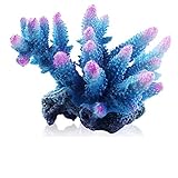 Nuevo Disign Coral Style, transformando tu acuario en un hermoso paisaje.