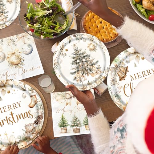 Christmas Paper Plates and Napkins, Vintage Plates Napkins Disposable Holiday Party Supplies for Christmas Party Decorations, Serve 20 – Image 4
