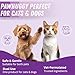 Pawhuggy - 100 Finger Wipes - Pet Dental Wipes for Dogs & Cats - Dog Teeth Cleaning Powder & Toothpaste Alternative - Dog & Cat Teeth Cleaning Wipes - Freshen Breath & Reduce Plaque