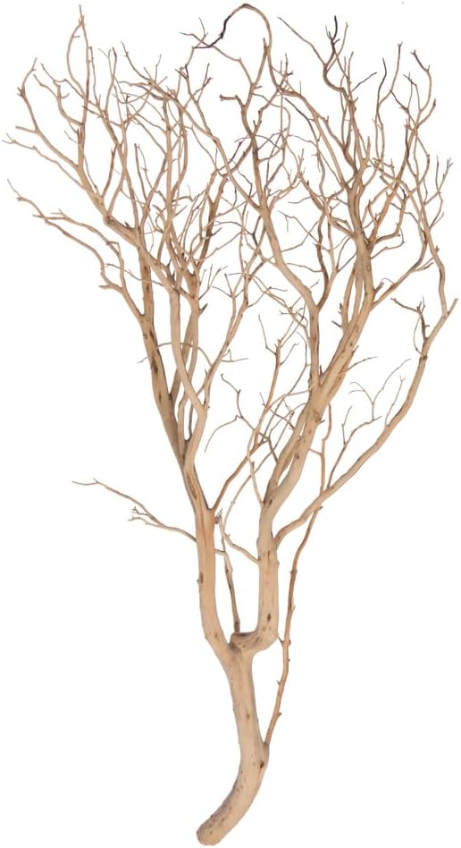 Vickerman Manzanita Tree Sand Blasted 36", Dried