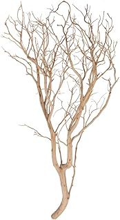 Vickerman Manzanita Tree Sand Blasted 36", Dried