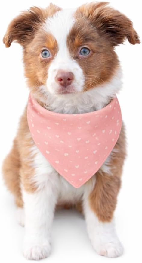 Valentine Dog Bandana 2-Pack – Neutral & Blush Heart Designs – Cute Pet Scarves for Small, Medium & Large Dogs