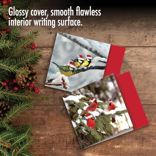 Image of Best Card Co 10 Christmas Boxed Cards Birds MQ5030XSG-B1x10