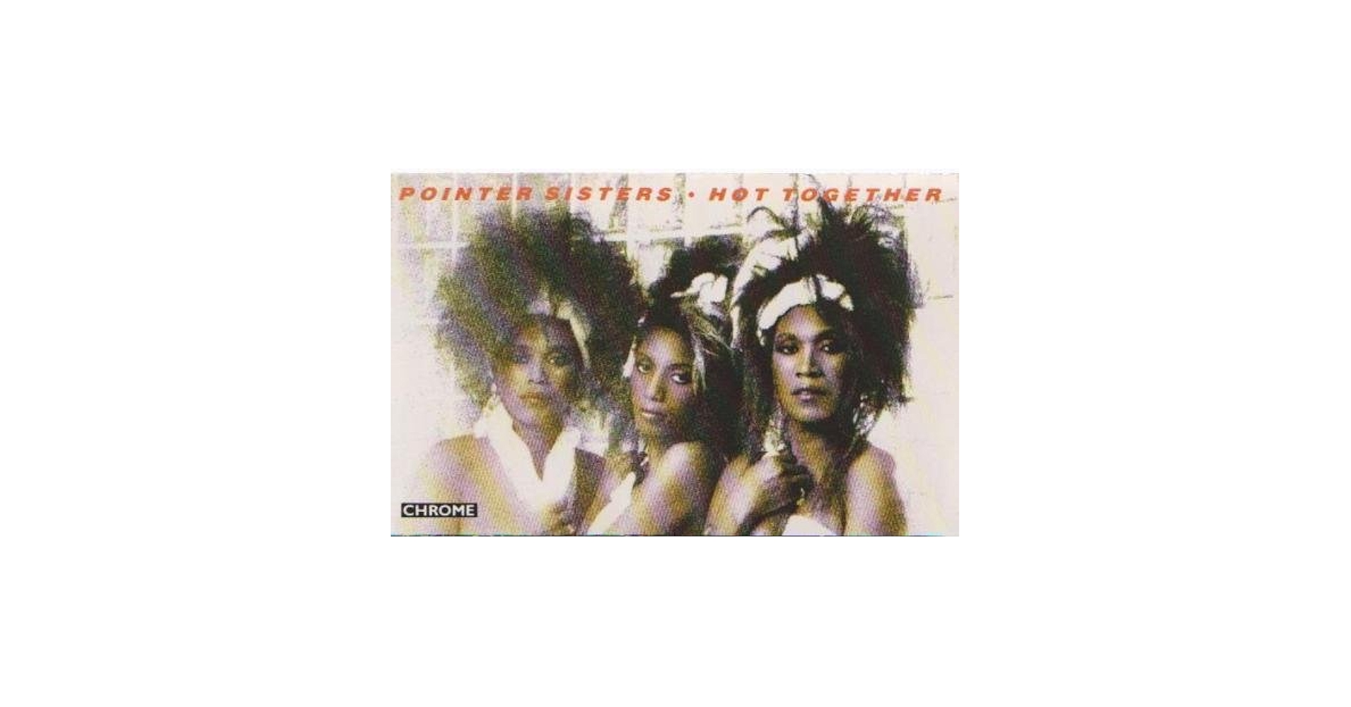 プロモ盤 Pointer Sisters Having a Party Pointer Sisters – Having A Party – Vinyl (Santa Maria
