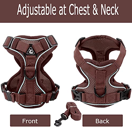 Ranphy, pettorina per cani di piccola taglia