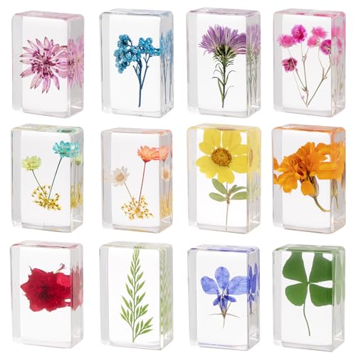 12 Pcs Real Pressed Flower Resin Paperweights - Botanical Specimen Collection for Home Desk Decor,...