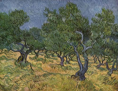 Affiche Murale Van Gogh Olivenhain Animaux - Transformez votre Décoration de Bureau Terne 60x90cm