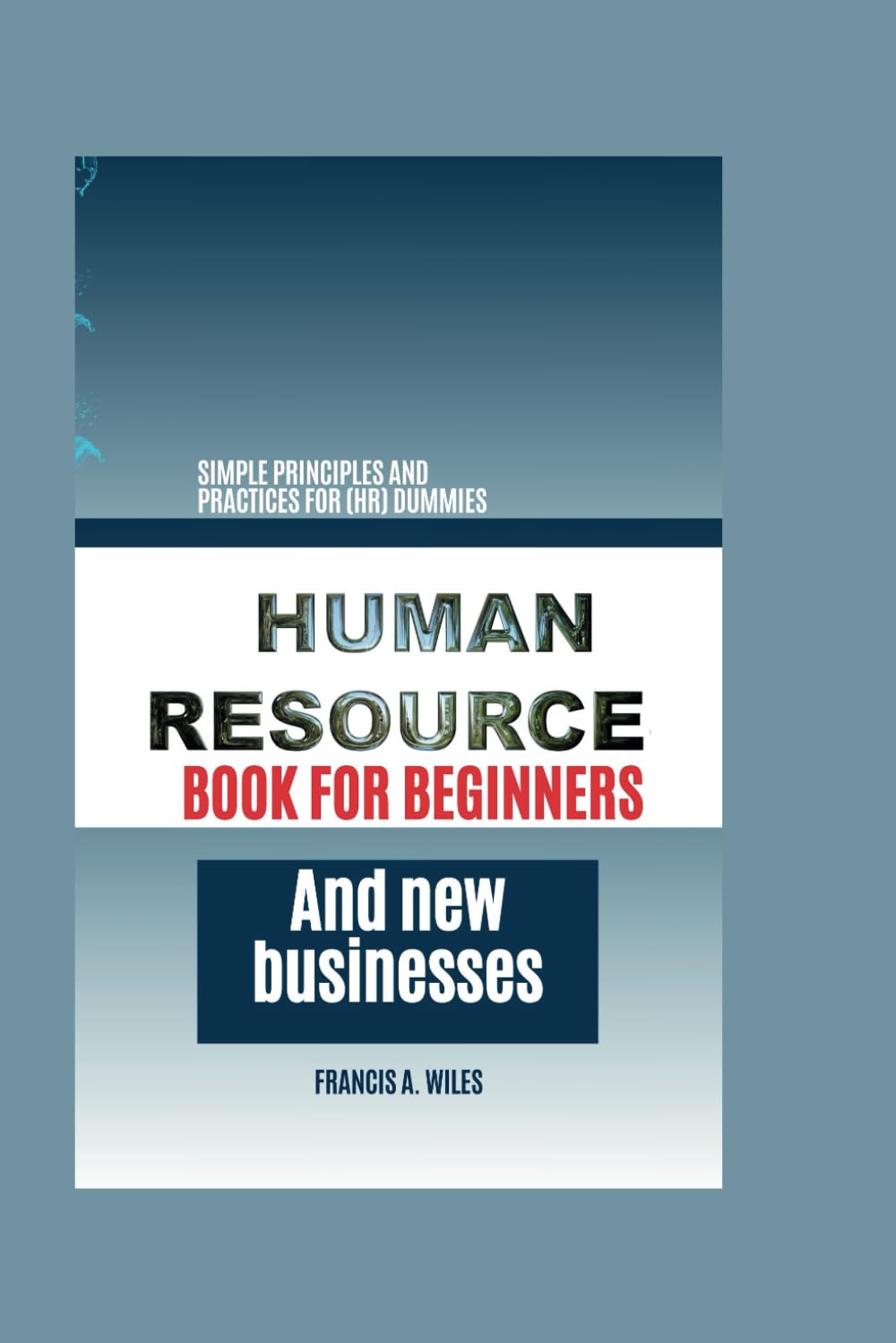 Human Resource Book for Beginners and New Businesses: Simple Principles and Practices for (HR) Dummies