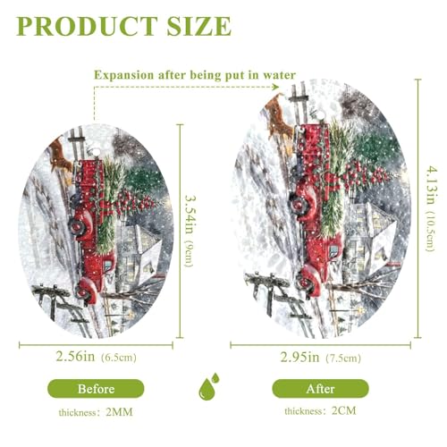 Image of Winter Snowflakes Christmas Red Truck Kitchen Sponges Xmas Fir Tree Snow Dog New Year Seasonal Cleaning Dish Sponges Non-Scratch Natural Scrub Sponge for Kitchen Bathroom Cars Pack of 3