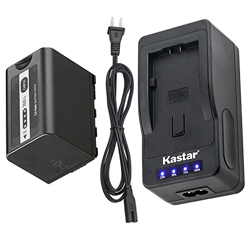 Kastar LED Fast Charger & Battery for Panasonic