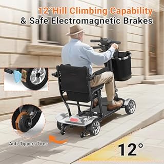 BIQISSI Mobility Scooter for Adults, 30Miles 4 Wheels Mobility Scooter with LCD Display, 350LBS Capacity & Lithium Battery, Airline Approved, 38LBS Motorized Mobility Scooter for Seniors, Silver
