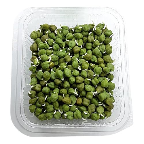 Fresh Sprouts Green Chana 200 gm