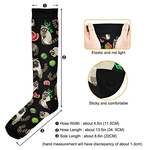 Wusikd Raccoon Compression Socks for Women and Men Circulation Cute Beast Long Socks for Athletic Running 1
