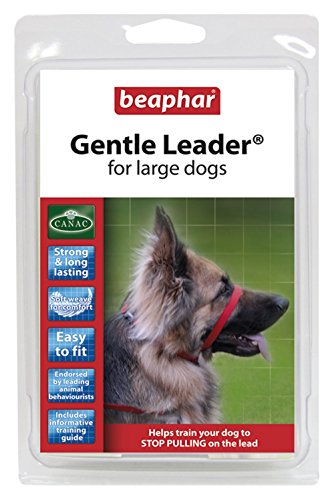 Hunde Leine Maul Band Groß CANAC