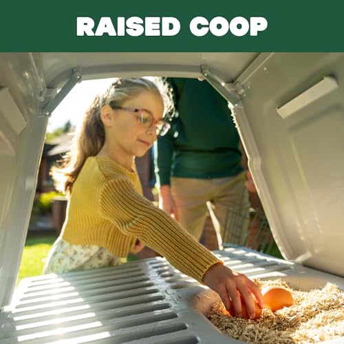 Image of Omlet Portable Chicken Coop Go Up | Easy to Clean and Maintain Plastic Chicken Tractor | Cool in Summer, Warm in Winter Weatherproof Hen House | Green Coop with 6ft Run and Wheels
