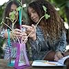 Educational Insights Nancy B's Science Club Way to Grow Hydroponics Kit & Gardening Diary #1