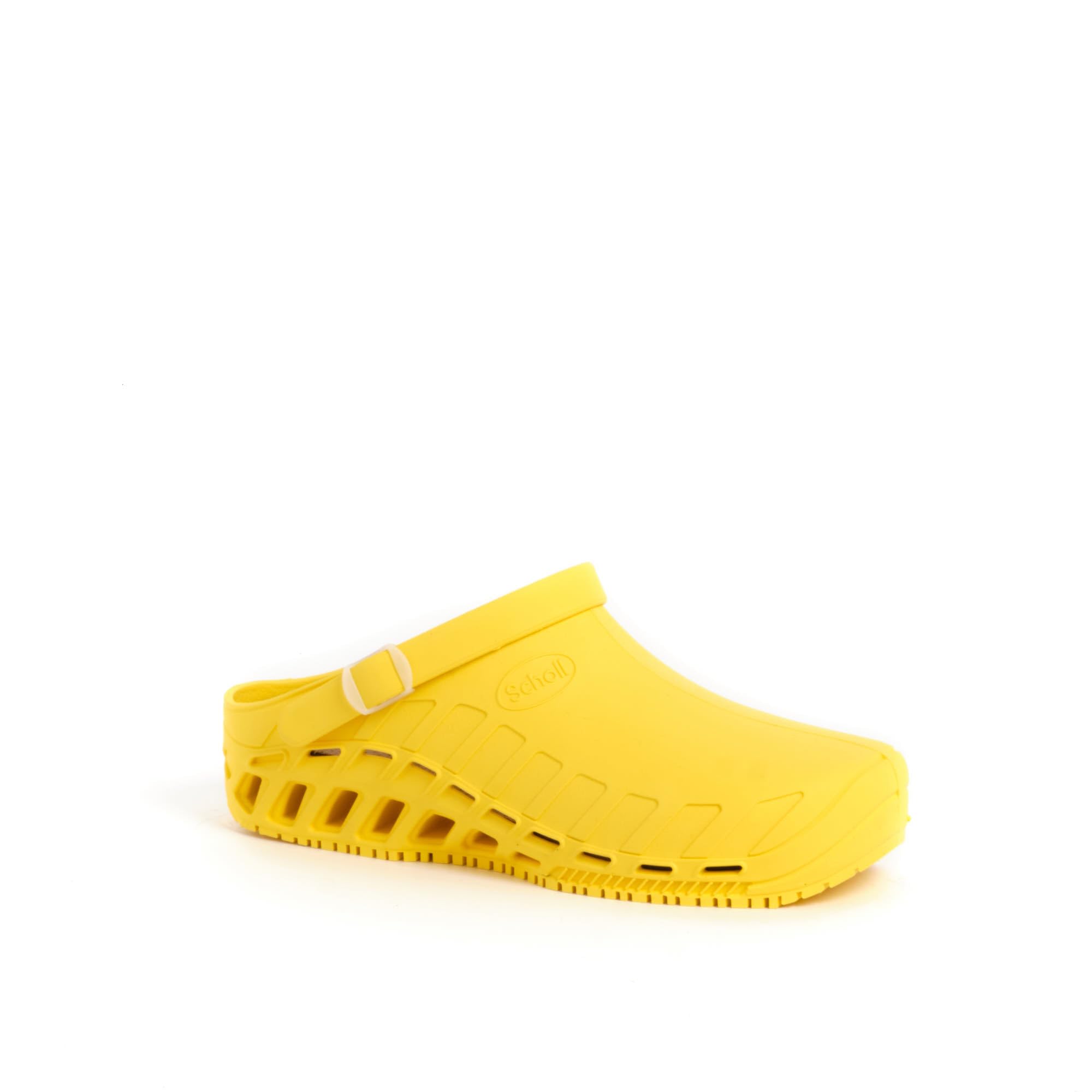 Scholl Clog Evo