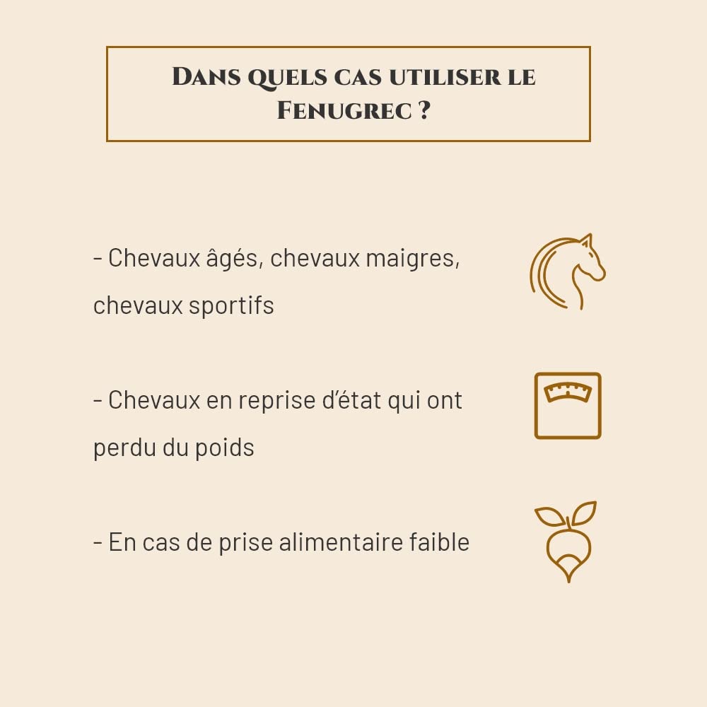 FENUGREC - Integratore nutrizionale Cavallo - Secchio 1 kg - Ripresa dello stato Cavallo - Sviluppo dei Muscoli - Energia - Marchio francese (Seau 1 kg)