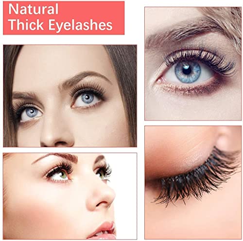 BSLVWG False Eyelashes - Image 4