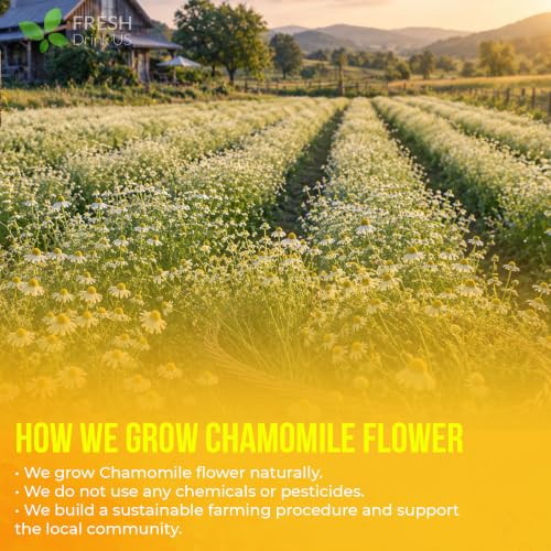 Image of FRESHDRINKUS, 135 Chamomile Tea Bags, 100% Natural and Pure Chamomile Flowers, Eco-conscious Tea Bags. Chamomile Flower Herbal Tea. No Sugar, No Caffeine, No Gluten, Vegan.