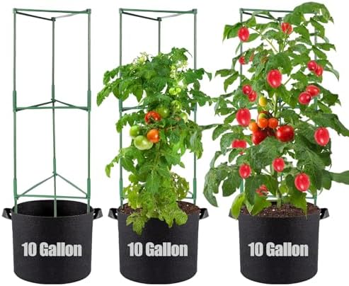Planting Tomatoes in Raised Beds: 5 Surprising Tips for Success 6 PASARA Tomato Cages with Grow Bags - 50 Inches Tomato Trellis for Raised Garden Bed, 3-Pack Tomato Plant Support, with 10 Gallon Plant Grow Bags, Reusable and Height Adjustable