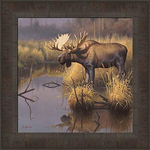 Amazon.com: Bull Moose by Greg Alexander 15x15 Wildlife Moose