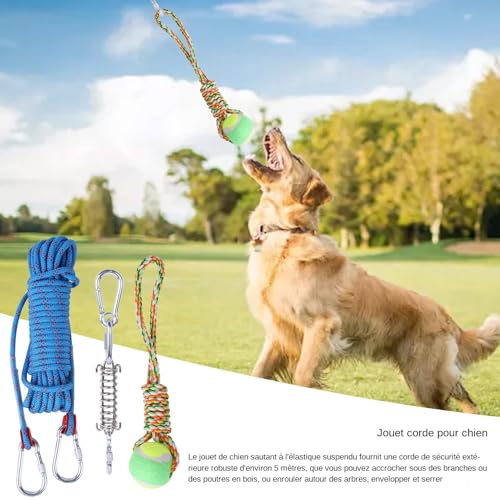 Jouets en corde pour chien robustes avec kit ressort premium - 3