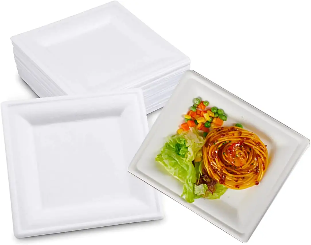 JINYUDOME 50 Pcs Compostable Paper Plates ，100% Biodegradable Bagasse Plates, Sugarcane Fiber Plates - Heavy Duty 8 inch Plates.Square.