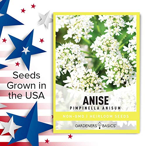 Gardeners Basics, Anise Seeds for Planting is A Heirloom, Non-GMO Herb Variety- Pimpinella Anisum Herb Seeds Great for Indoor and Outdoor Gardening - Image 3