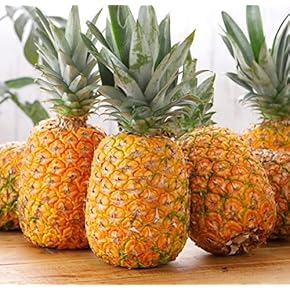 パインの実 楽天市場】【送料無料】フィリピン産 甘熟王 パイナップル 6〜9玉入り