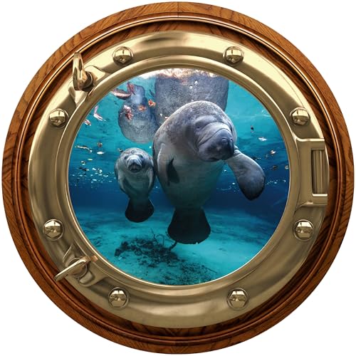 Vinilo decorativo redondo Manatee y Cub 30.48x30.48 cm