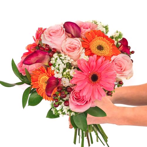 BloomsyBox Farm-Fresh Pink Blush Bouquet, Pink Design, Care Card, Flower Food, Lush Greenery, Flower Delivery, Birthday Flowers, Anniversary Flowers, Wedding Flowers