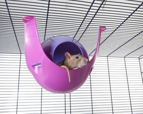 Amazon | 【ALLFORWAN'sLIFE】 サヴィッチ 飼育ケージ ベルギーSAVIC